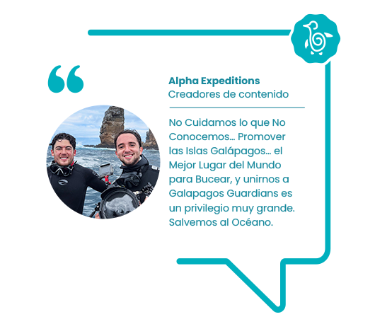 Alpha Expeditions V4 ES