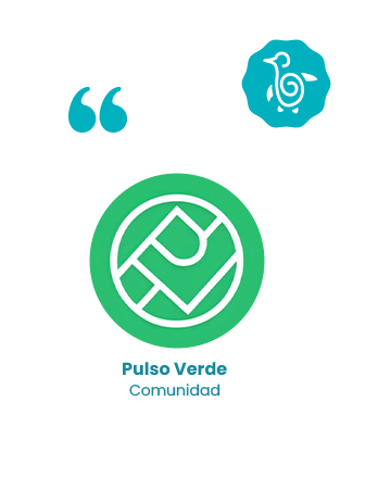 Pulso Verde